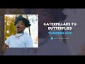 Yungeen Ace - Caterpillars To Butterflies (AUDIO)