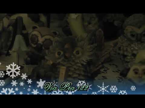 spot Ristorante e Pizzeria il Gufo