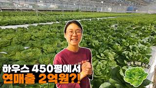 450평 하우스 한동에서 나오는 충격적인 수익