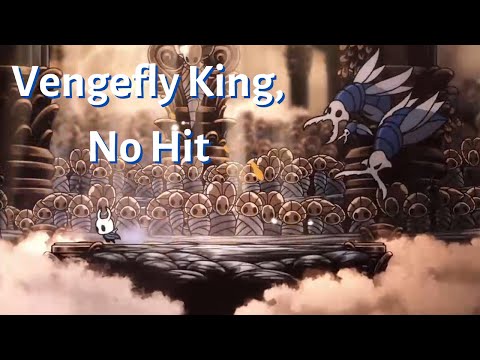 Come sconfiggere Vengefly King (Radiant) | Hollow Knight