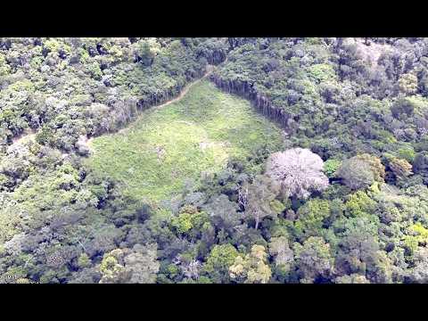 Polícia Civil realiza mais uma etapa da Operação Protetor dos Biomas no interior do Amapá