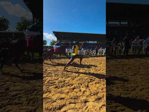 RACING THE FASTEST HORSE IN THE WORLD 🐎 🏃‍♂️