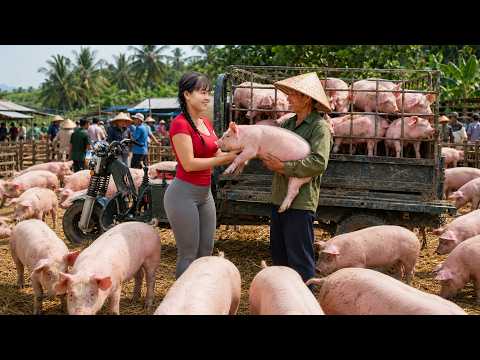 Selling Giant 600kg Pigs After 4 Months of Raising | Truck Transport to Market