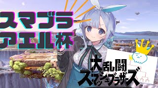【スマブラSP】スマブラアエル杯開催！！！【モノカキ・アエル】