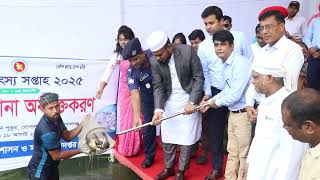 জাতীয় মৎস্য সপ্তাহ 2025 মাছের পোনা অবমুক্তকরণ