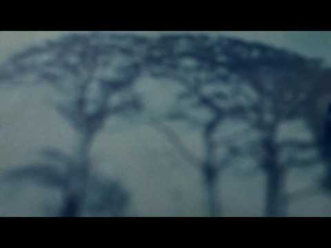 download lagu mp3 mp4 Ralph Towner Solstice Sound Shadows, download mp3 Ralph Towner Solstice Sound Shadows free download, download mp3 Ralph Towner Solstice Sound Shadows