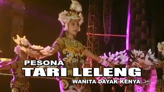 Download lagu TARI LELENG || DAYAK KENYAH mp3 Download lagu TARI LELENG || DAYAK KENYAH mp3