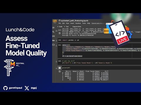 Lunch&Code: Assess Fine-Tuned Model Quality