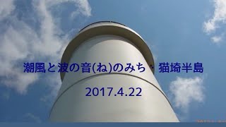 2017.4.22 潮風と波の音(ね)のみち:猫埼半島