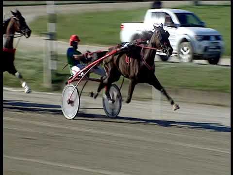 Trotto 04/10/2019 - 4ª corsa