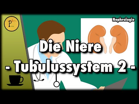 The tubular system of our kidneys explained. (Diuretics: Spironolactone, Thiazides, HCT, Xipamide...