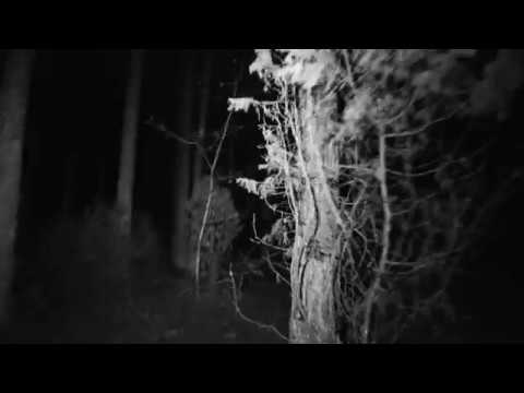 Gardens of God - Whistler