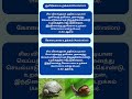 C51 Aestivation Hibernation Climatechange Shorts TNPSCgroup4 Tnpscpreparation Tnpscgroup2