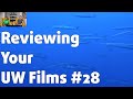 Reviewing YOUR UNDERWATER FILMS 28 Joel Garroós