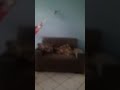 Quem é Esse Móvel