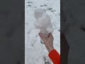 How dirty is snow?