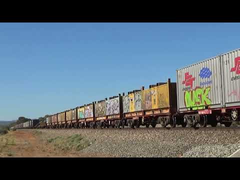 CSR023 CF4431 CSR009 CSR018 and CSR006 on 7MP9 freight Direk