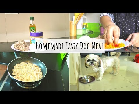 Tasty Dog Meal With Chicken | Homemade Tasty Dog Meal | The Best Healthy Homemade Dog Treat Video