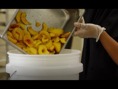 "How To" Peach Smoothie Recipe with Lydia Hobbs (Orange County Public Schools)