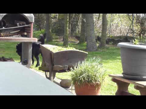 kayhude 03 05 15 013