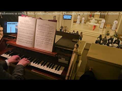 JKS 484 - Zrel som vodu (Biela sobota 2024)