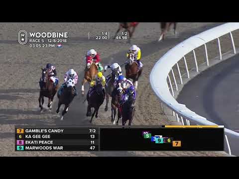 Woodbine, December 8, 2018 - Race 5