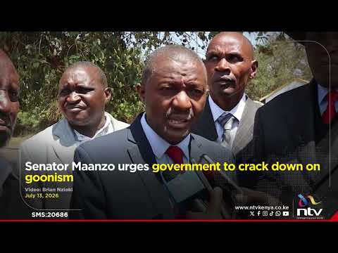 Senator Maanzo urges government to crack down on goonism