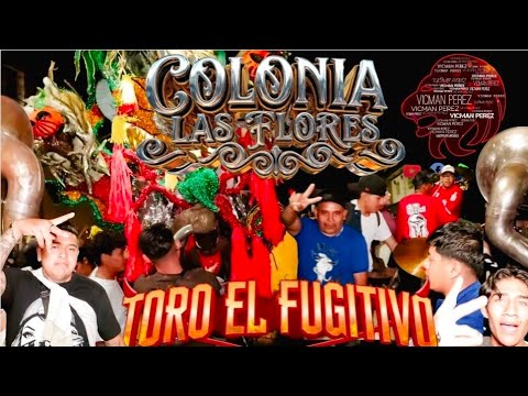 TORO EL FUGITIVO COLONIA LAS FLORES
