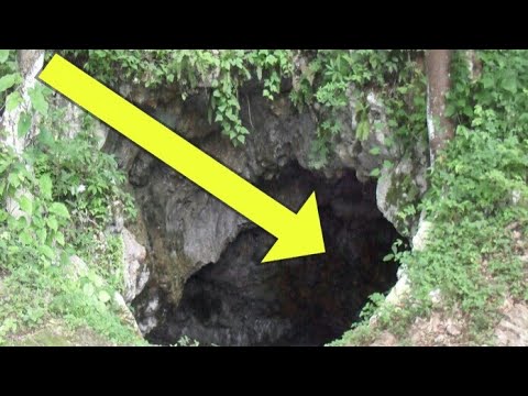 The 5 Best most horrifying things discovered in the world