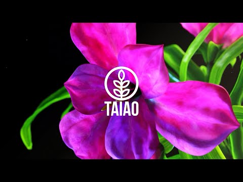 INSYDIUM Fused Release Update - July 2023 - Taiao Sneak Peek