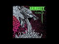 Animosity - Terror Storm