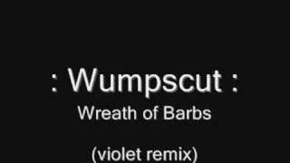 Wumpscut - Wreath of Barbs (violet remix)