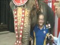 Circus Elephants Prepare To Perform In Jackson