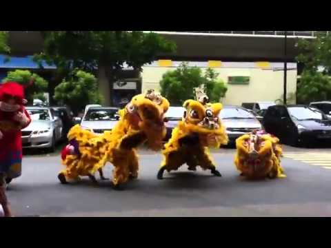 Funny Asian videos - Gangnam Style mixing with Lion Dance