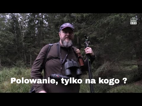 Darz Bór odc 462 „Prawie zjedzeni na polowaniu”