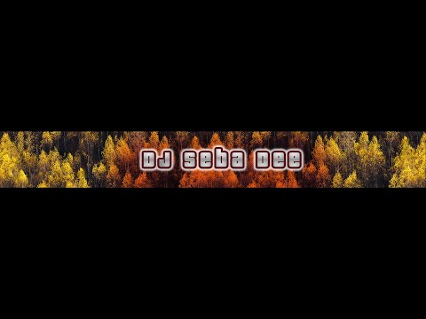 Dj Seba Dee   Cro mix 2021