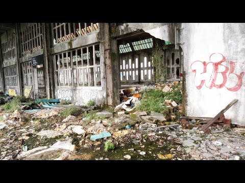 GEA PARTE 2, entramos en la fabrica de coruxo #15