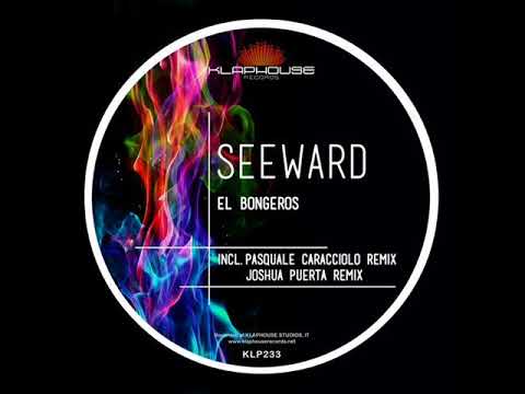 Seeward - El Bongeros (Pasquale Caracciolo Remix)