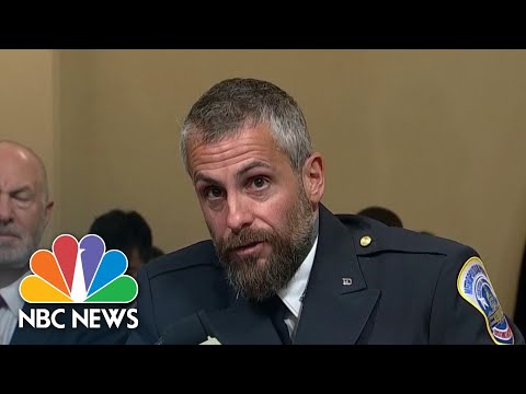 DC Police Officer Michael Fanone Did Not Storm Capitol with Confederate Flag