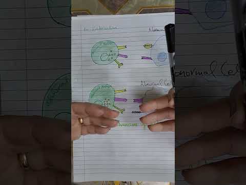 Cells of the immune system...Part 1 Natural killer cells