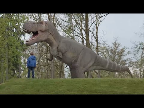 Jurassic Park: In Kirchdorf/Inn „leben“ 73 Dinos