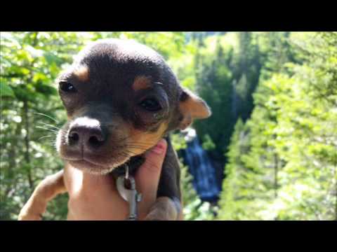 LXtrM - Y Fait Chaud