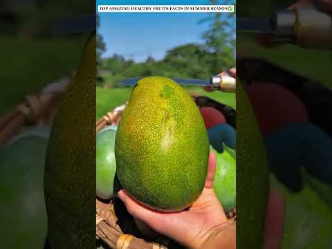 Top amazing healthy fruits facts in summer season ✅