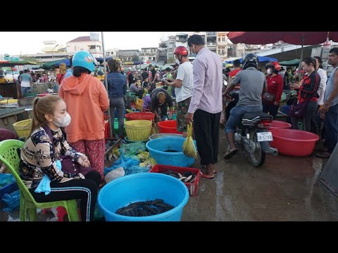 Big Site Distributes Fish @Chhbar Ampov Bridge - Morning Fish Market Scene Show in Town on Weekend