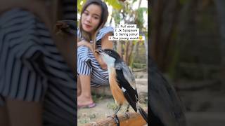 Download lagu TIPS CENDET TANPA SANGKAR RUJI VIRAL, SIMPEL #kicaumania #wanitakicau #cendetviral #fyp #cendeters mp3 Download lagu TIPS CENDET TANPA SANGKAR RUJI VIRAL, SIMPEL #kicaumania #wanitakicau #cendetviral #fyp #cendeters mp3