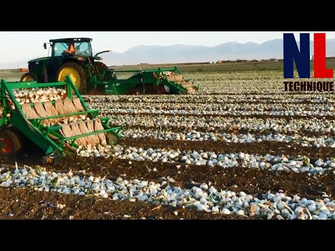 súlycsökkentő terapeuta nj