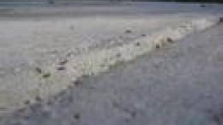 Washing Day by Amber Rubarth