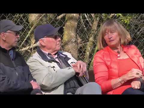 FCWaldbrunn1 FCPoheim 1zu1 20220418