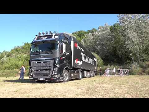 Winchester Best show 2019 | Raniero Testa miglior spettacolo 2019