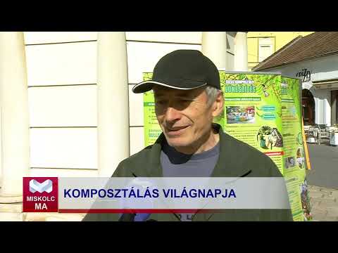 Videó előnézet